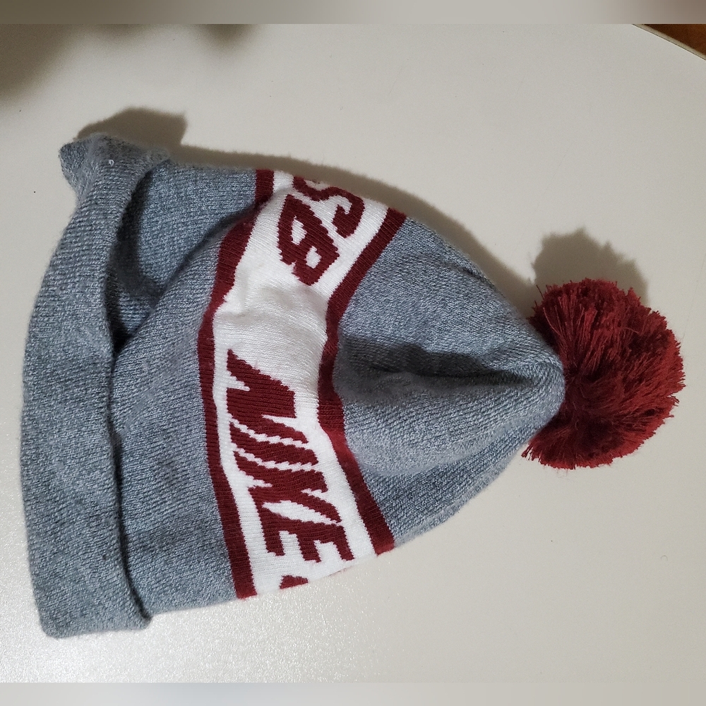 NIKE SB POM HAT - Picture 3 of 5